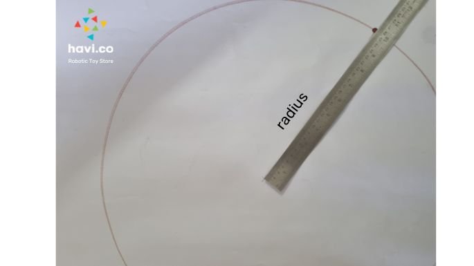 circle-wheel-activity4 circle blog 羞羞的铁拳