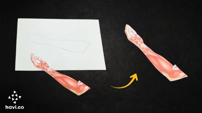 reflex action model making step 5
